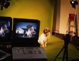 Unlock the Chromakey Genie: Practical Video Magic Beyond Special Effects