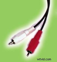 Essential Guide to Cables and Connectors for Video Editing Pros