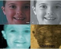 Master DV Chroma Keying: Eliminate Blue Screen Issues for Flawless Composites