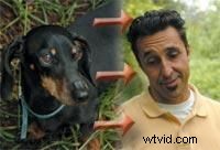 Expert Home Video Tips: Master Pro Director Commands