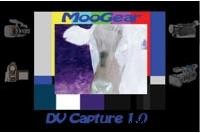 ViviClip Professional Video Editing Software: MooGear DV Capture by InterVideo