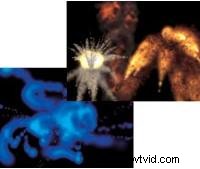 Datavideo SE-500: Professional Video Switcher with Quad-Split Preview & Audio Mixing