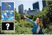 Master the Motivated Edit: Plan Shots for Powerful Video Storytelling