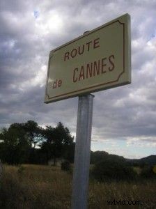 British Director s $70 Zombie Movie Stuns Cannes Film Festival