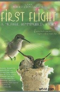 Master Storytelling: Craft Compelling Videos from Everyday Moments