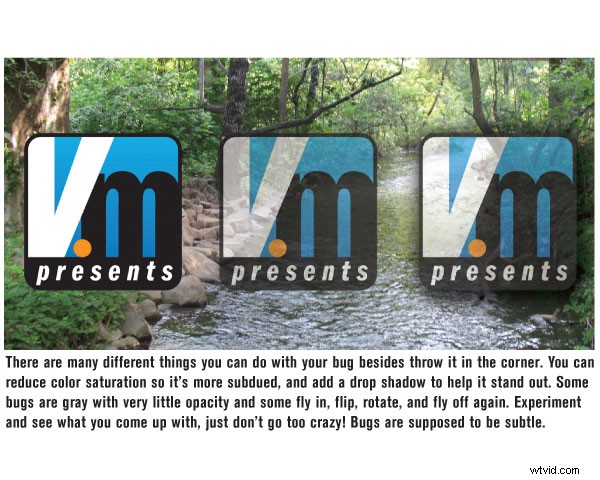 Master Video Branding: Create Impactful On-Screen Bugs