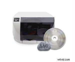 Preserving Videos and Images for 1000 Years: Future-Proof Storage Guide