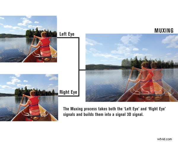 First Look: Mastering Professional 3D Video Editing Tools