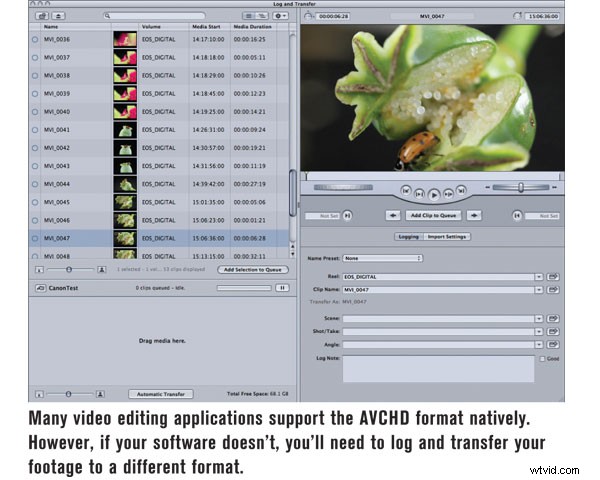 AVCHD Update: Latest Insights for Video Shooters and Editors