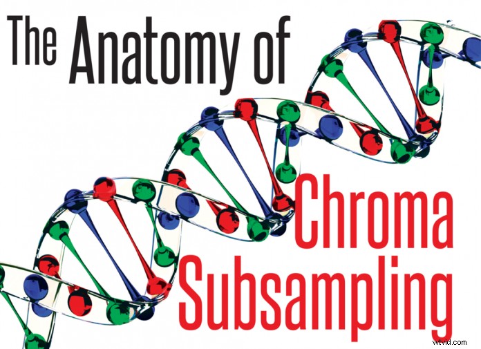 Chroma Subsampling Explained: The Anatomy of Video Color Compression