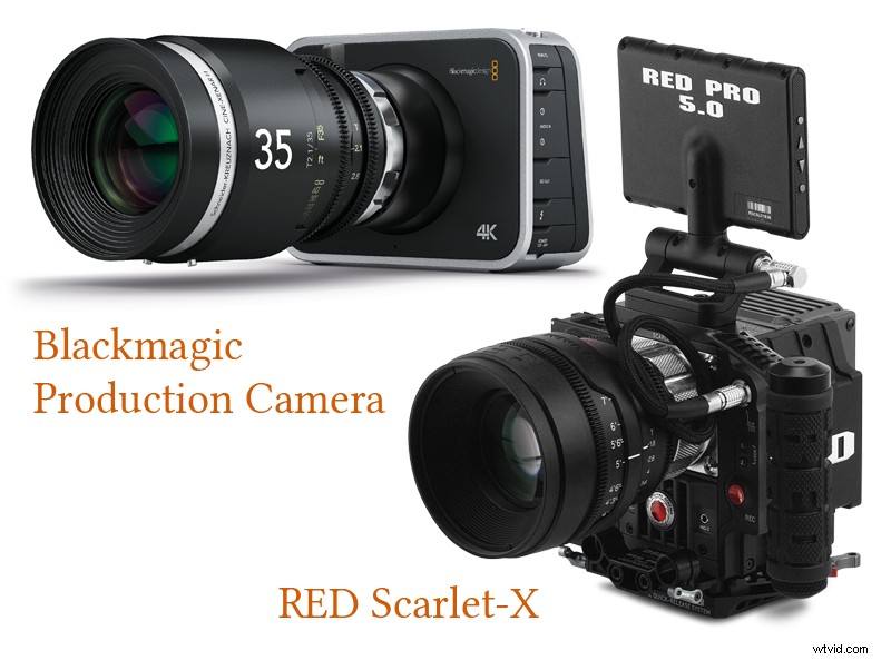 Mastering RAW Workflow: Achieve Unaltered Colors and Peak Image Quality