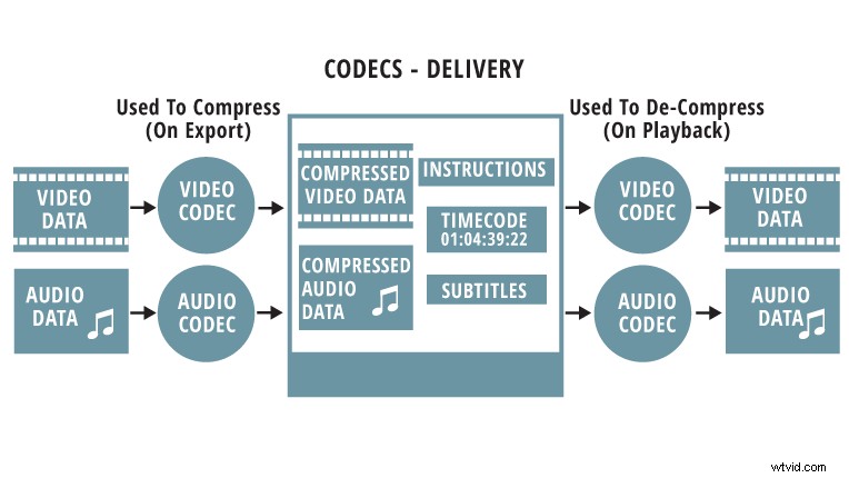 Master Your Video Workflow: How to Choose the Perfect Codec and Container