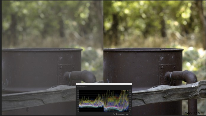 Mastering LUTs: Expert Guide to Video Color Grading and Production Workflows