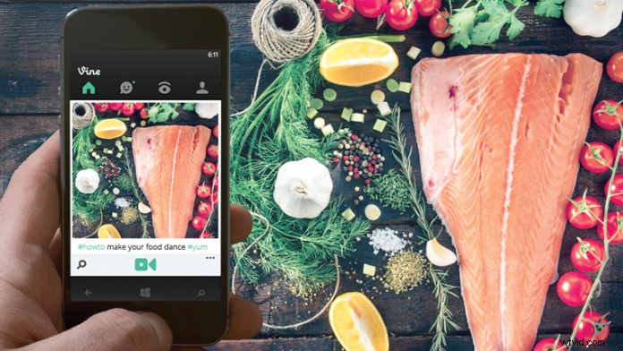 How to Create Seamless Looping Vines: Expert Step-by-Step Guide