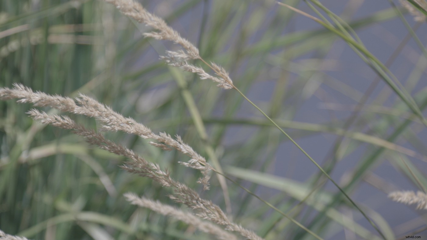 Master Log Video: Unlock Precise Control Over Your Images