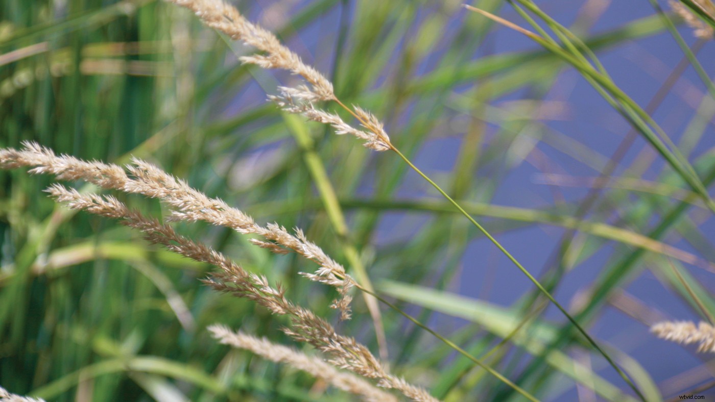 Master Log Video: Unlock Precise Control Over Your Images