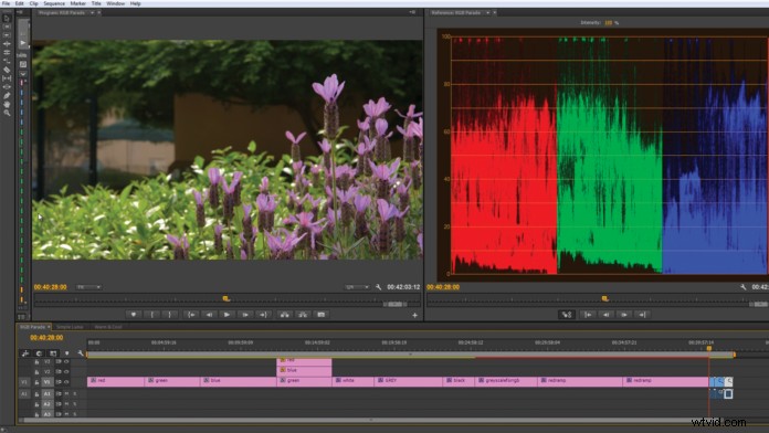 Expert Guide: How to Accurately Monitor Video Quality During Editing