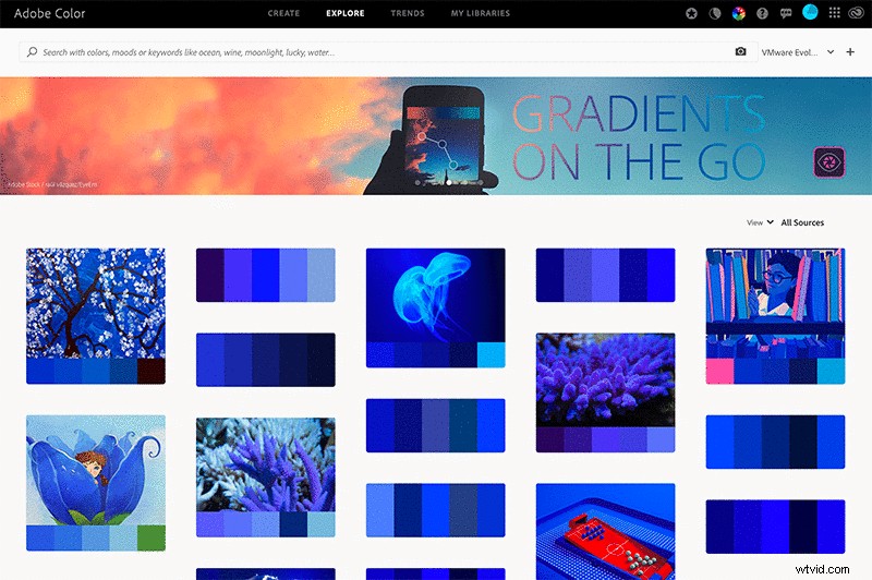 Master Adobe Color: Expert Guide to Perfecting Your Designs