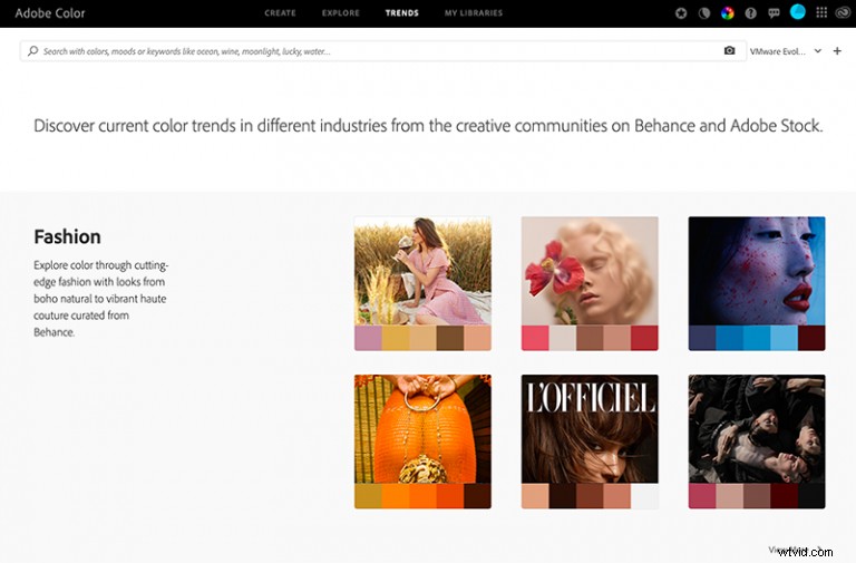 Master Adobe Color: Expert Guide to Perfecting Your Designs