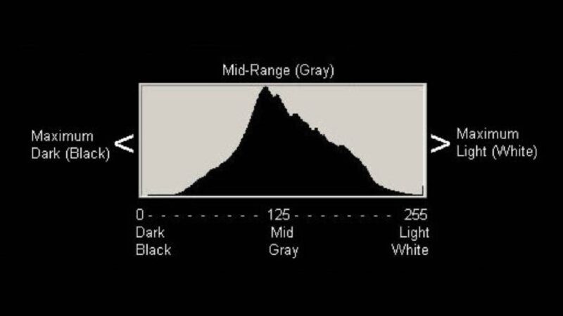 Mastering Tonal Range: Essential Guide for Videographers