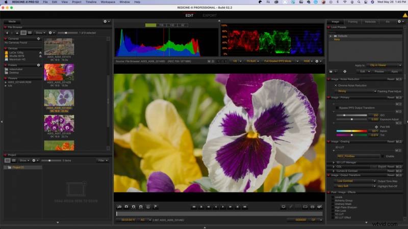 What Is a Film Colorist? Unveiling Their Essential Role in Modern Filmmaking