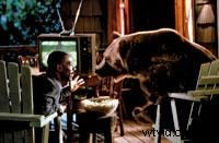 How to Make Animals Talk on TV: Professional Techniques Revealed