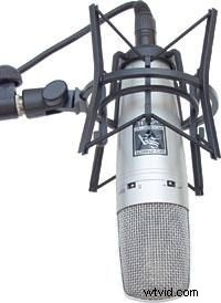 Navigating the Microphone Jungle: Pro Tips for Superior Camcorder Audio