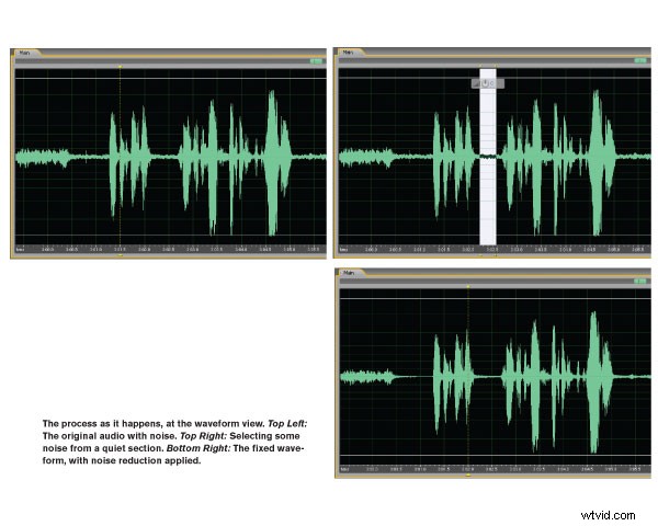 Master Noise Removal: Advanced Audio Editing Tutorial