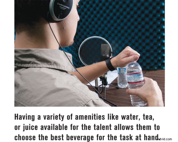 Ultimate Voice-Over Guide: Everything You Need to Know for Professional Success