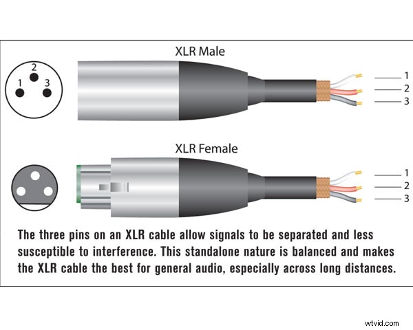 Microphone Anatomy Explained: Unlock Crystal-Clear Video Sound