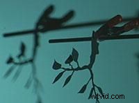 Light Sources: Mastering Background Lighting for Stunning Video Shots