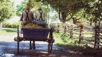 Expert Tips for Shooting Stunning Videos on Sunny Days