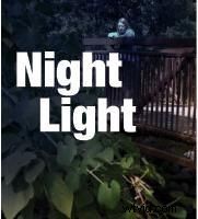 Master Day for Night Shooting: Pro Tutorial for Cinematic Night Scenes