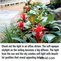 Premium Lighting Products for Professional Video Ads