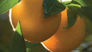 Capturing Light: The Art of Photography and Digital Rendering Like Pixar