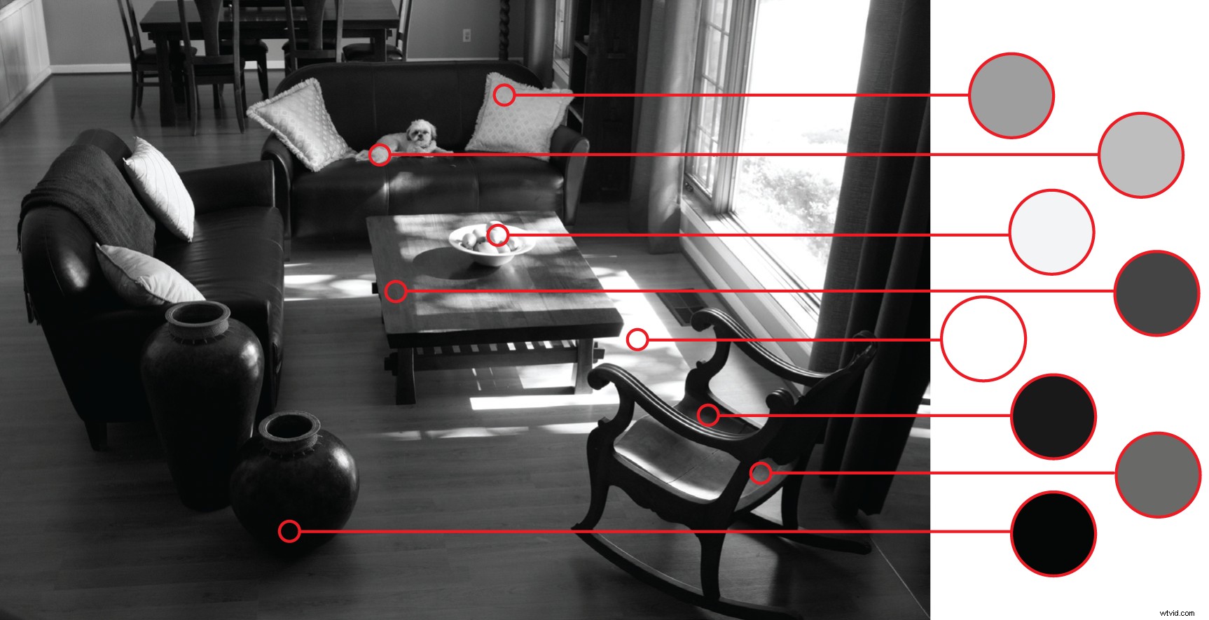 Mastering Black and White Photography: Insights from Ansel Adams, Hitchcock, and Welles