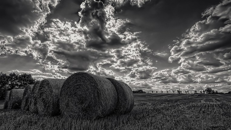 Mastering Lighting Techniques for Stunning Black & White Videos