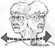 Storyboard: Smart Pet Trick – Master the Power of Cinematic Suggestion