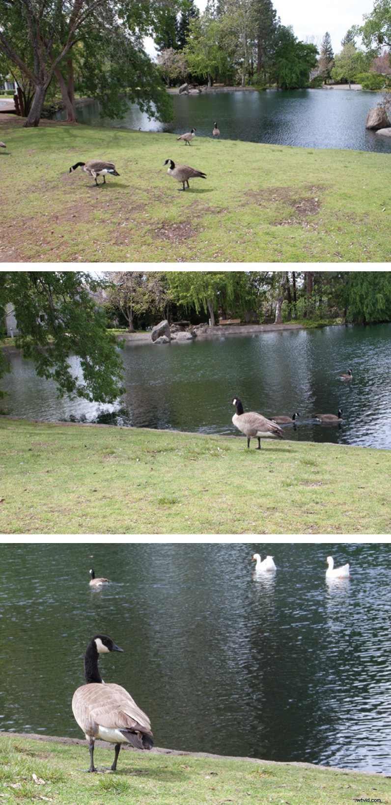 How Strategic Planning Fuels Spontaneity in Video Storytelling