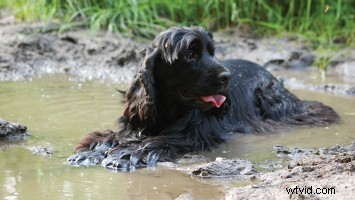 From Script Concept to First Draft: Your Step-by-Step Guide