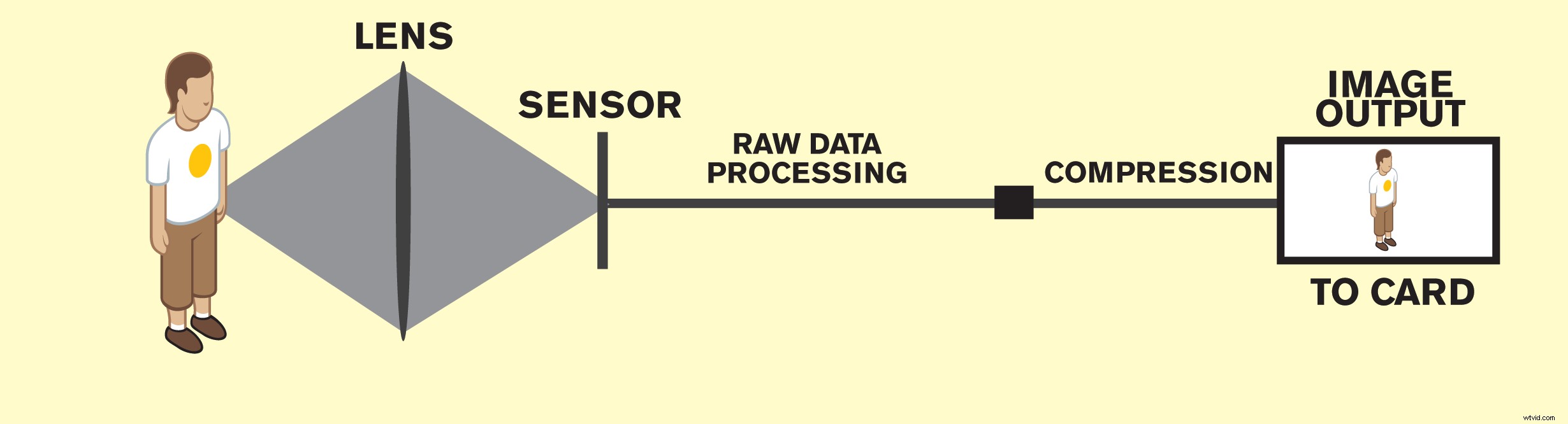 Is Bigger Always Better? The Image Sensor s Role in Video Quality