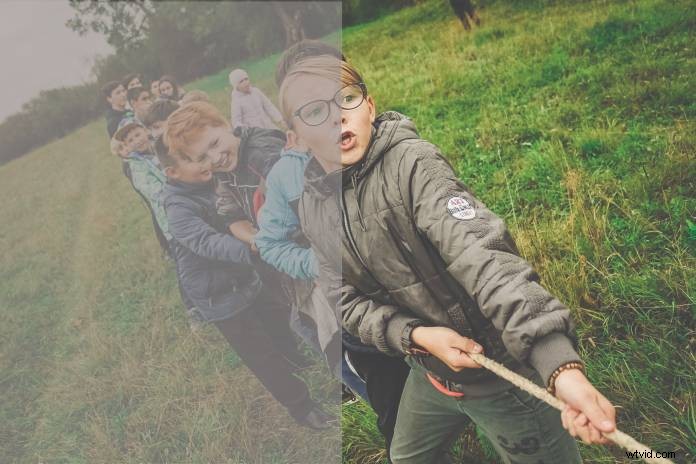 Mastering Log Shooting: A Guide to Choosing the Right Log for Your Videos