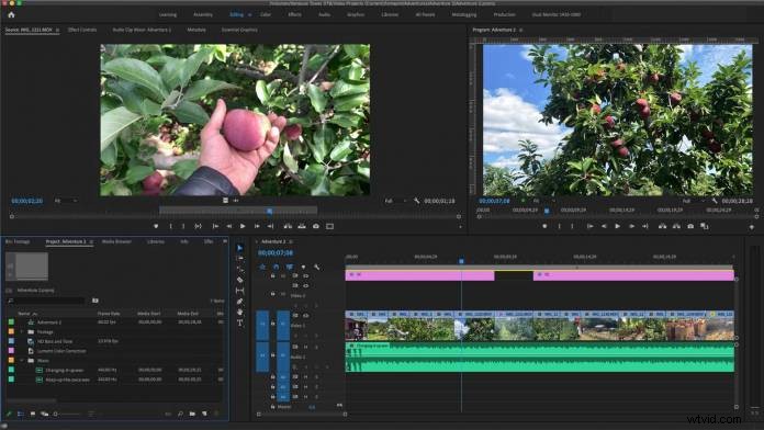 Adobe After Effects vs. Premiere Pro: Ultimate Side-by-Side Comparison