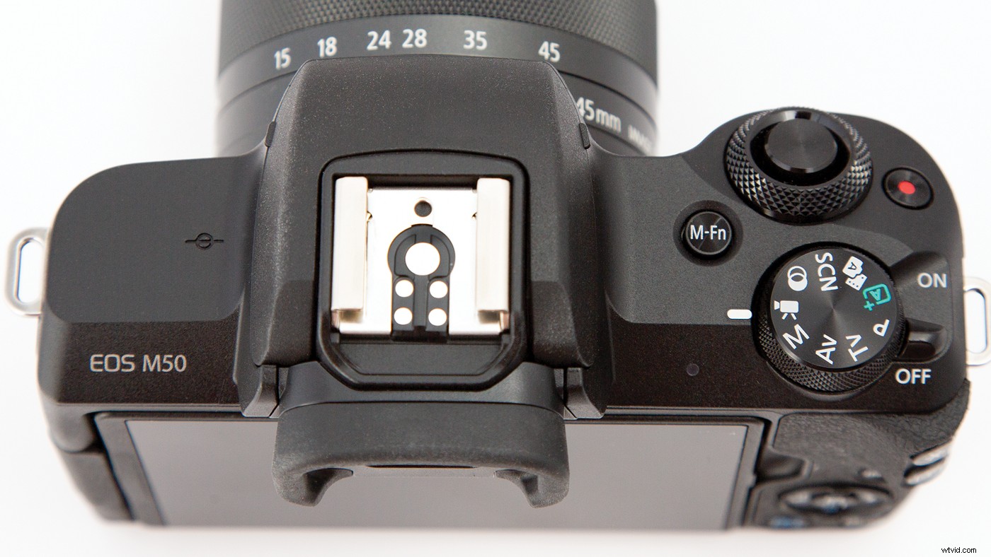 Canon EOS M50 Review: Ideal Mirrorless 4K Camera for Social Media Creators