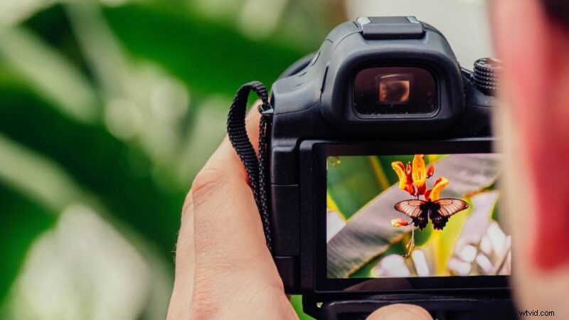 Photographer Salary Guide: Average Earnings from $24K to $200K+