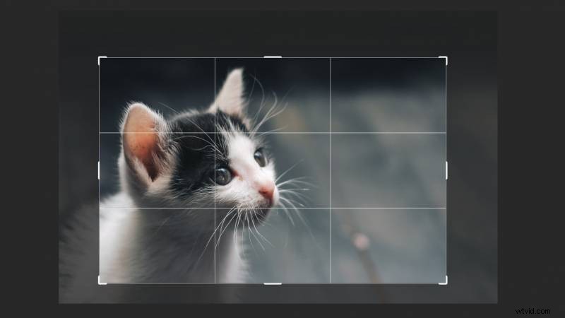 How to Crop Photos in Adobe Photoshop: Step-by-Step Guide