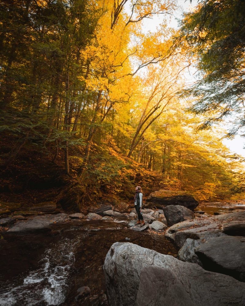 Photoshop Tutorial: Stretch Images Without Distortion Using Content-Aware Scale