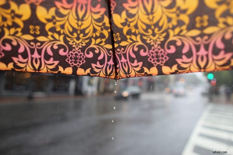 Master Rainy Day Photography: Expert Tips and Creative Ideas