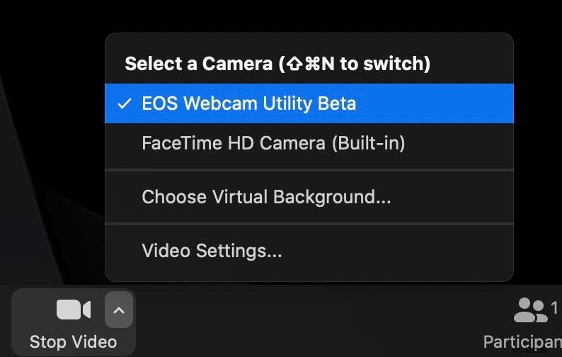Turn Your Canon DSLR or Mirrorless Camera into a Pro Webcam: Easy Guide