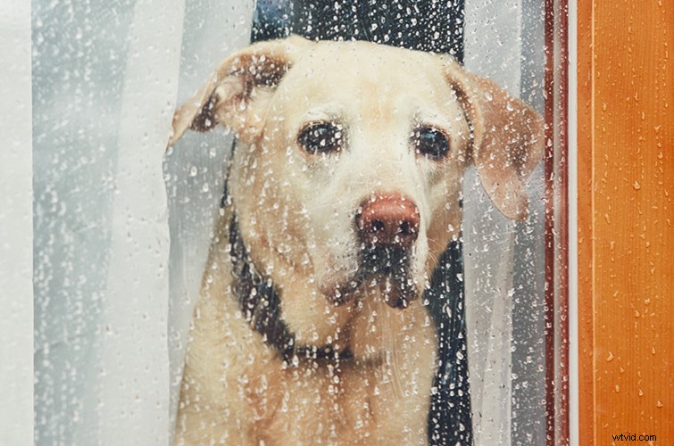 Harness the Emotional Power of Sad Royalty-Free Music for Video Creators